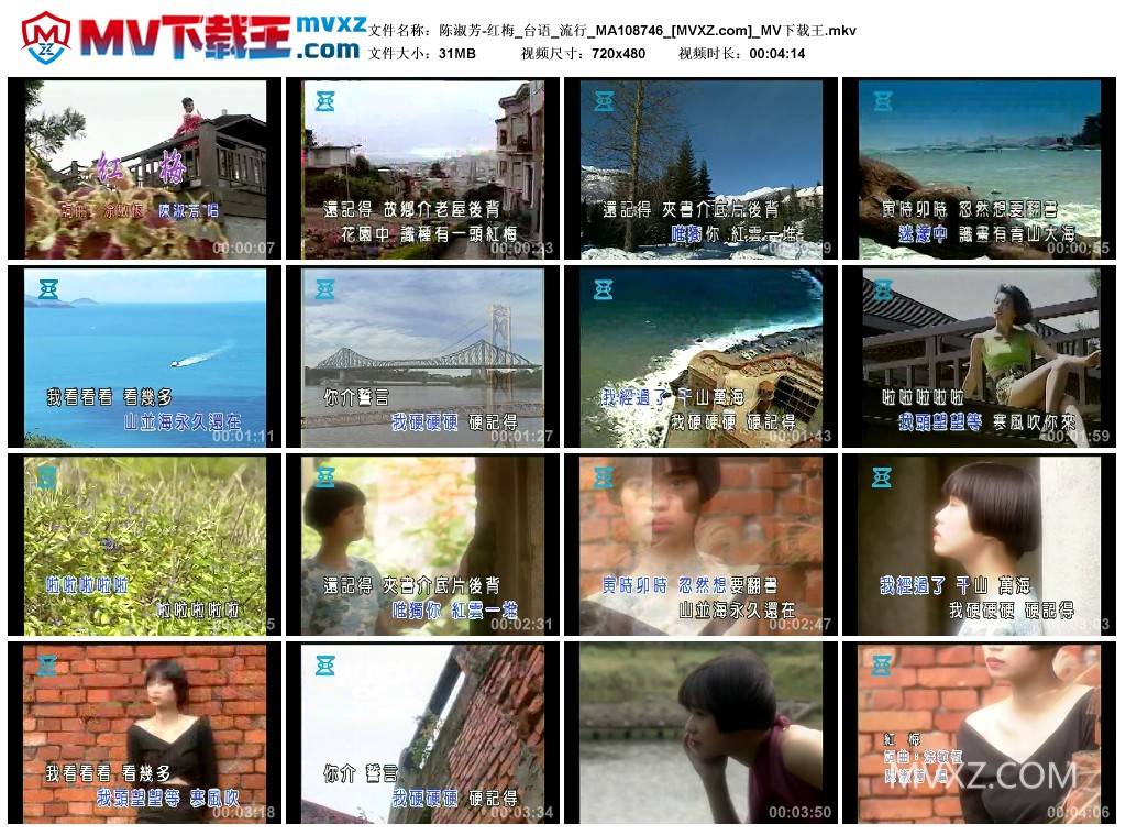 陈淑芳-红梅_台语_流行_MA108746